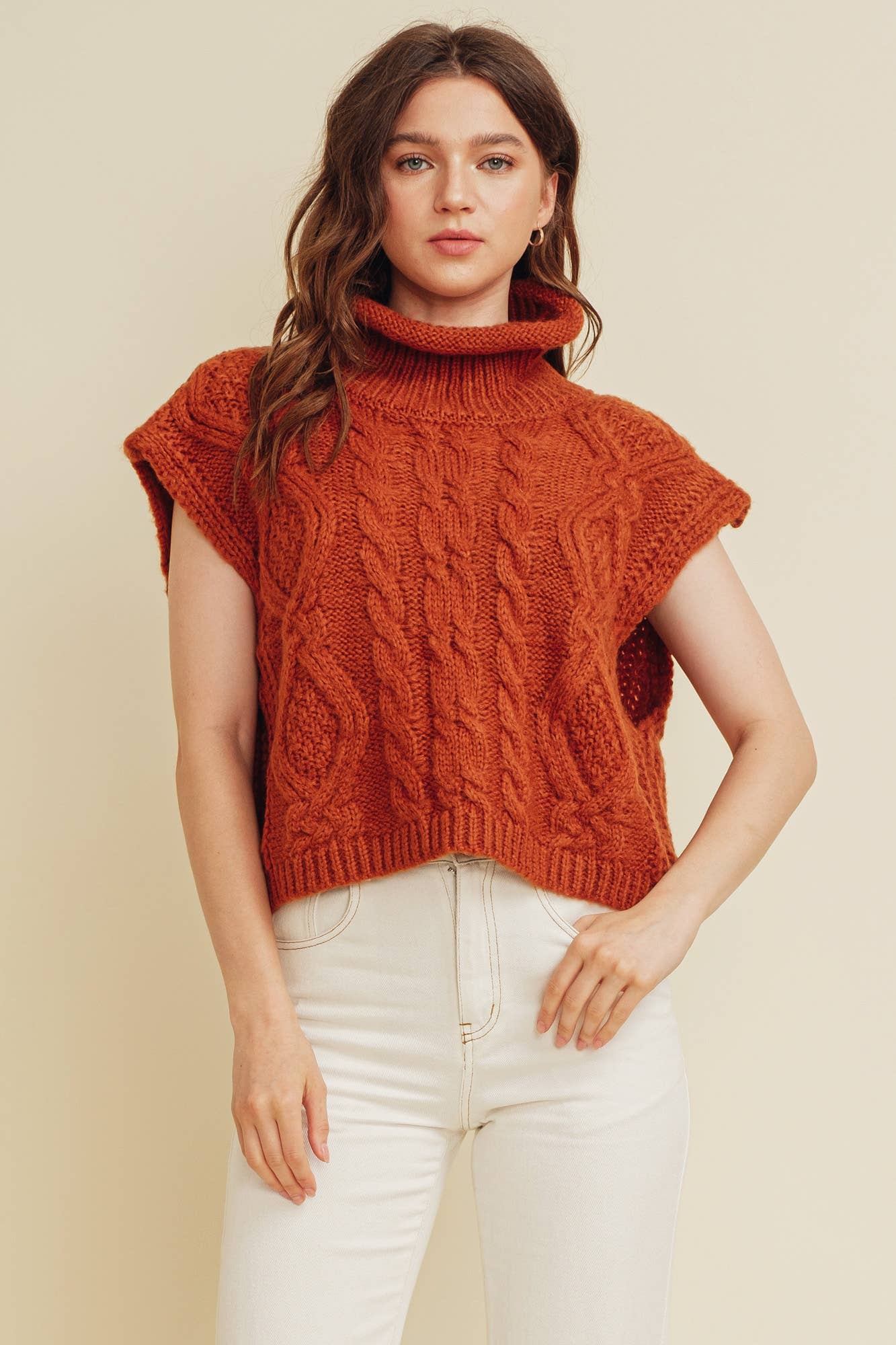 Cable Knit Turtle Neck Sweater